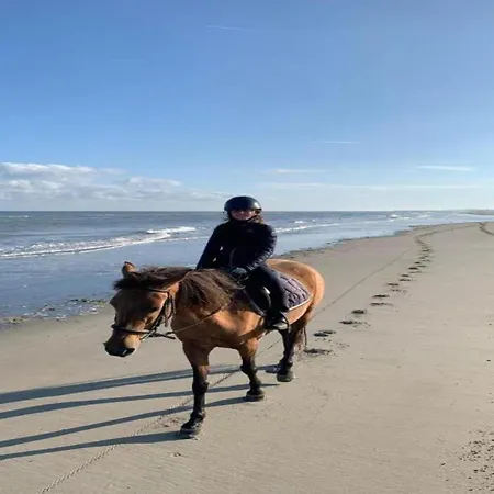 In Near Sint-andre Vakantiehuis Koksijde
